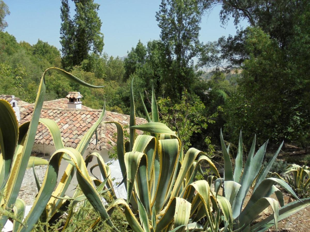 El Pastor Villa Grazalema Dış mekan fotoğraf