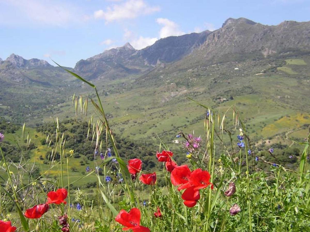 El Pastor Villa Grazalema Dış mekan fotoğraf