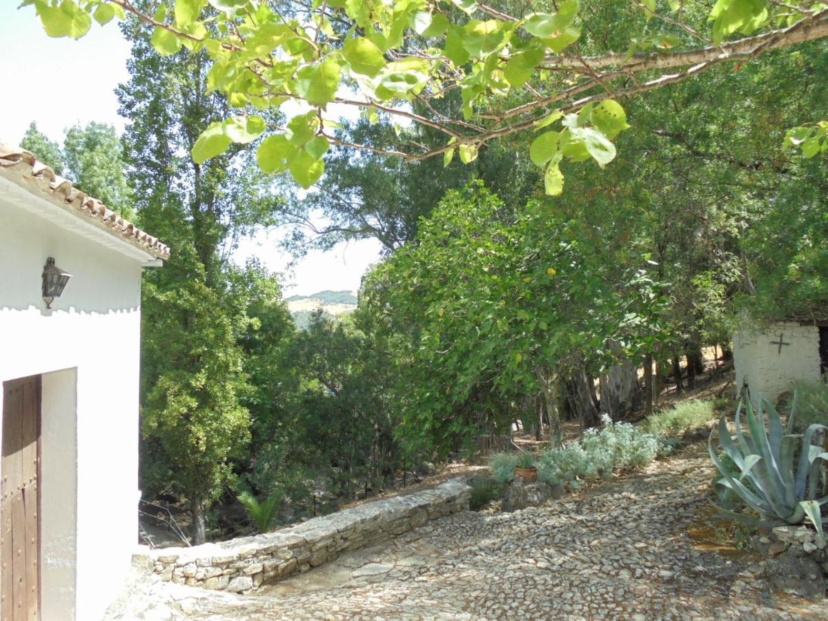 El Pastor Villa Grazalema Dış mekan fotoğraf
